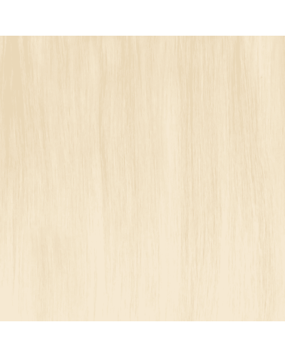 Invisible Tape Hair Extensions 60 cm, Tone 613